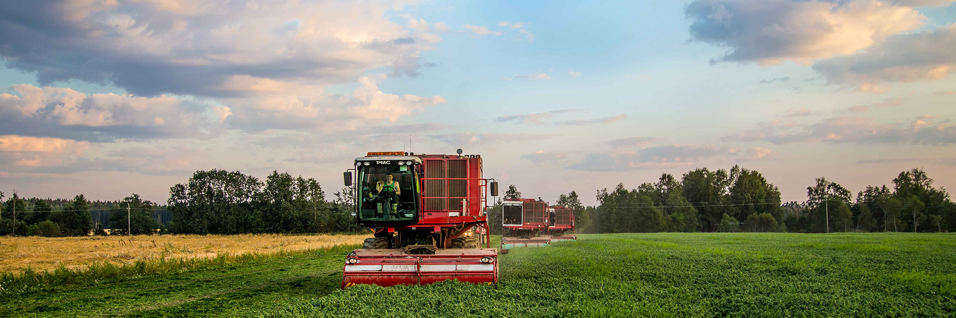 Finnish peas are an internationally renowned product – Apetit acquires a new pea harvester and has a record number of farming hectares­­