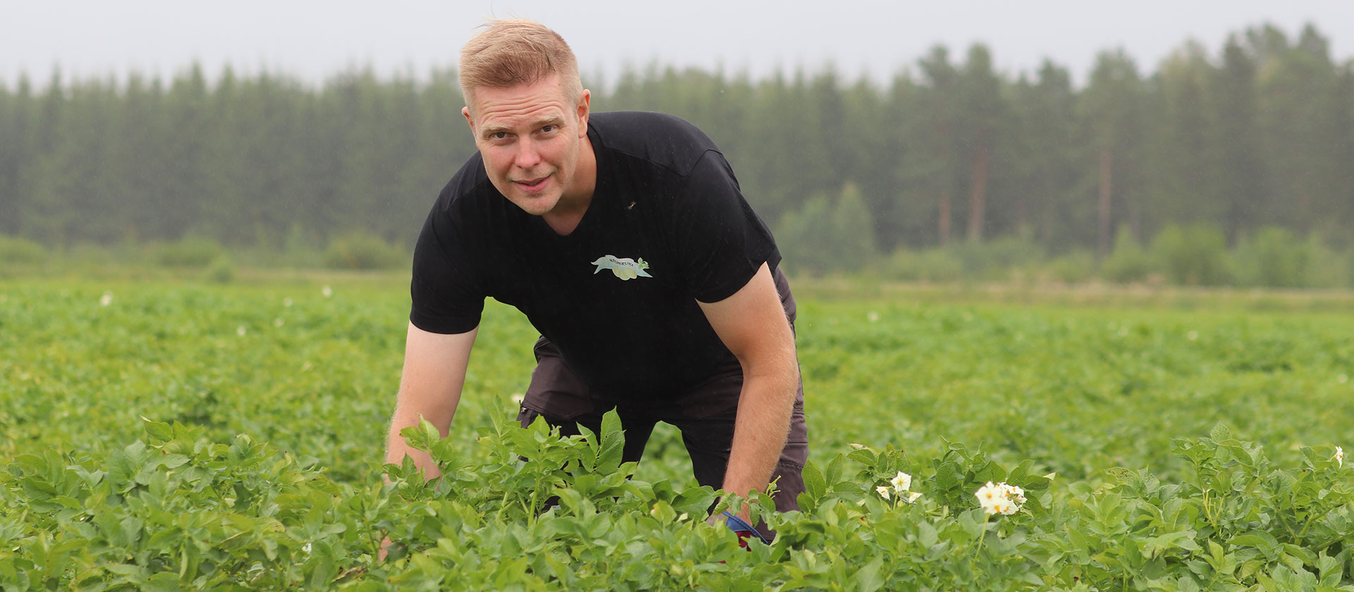 Sopimusviljelijöitä kolmannessa polvessa – Peruna on yksi Apetitin suurimpia sopimusviljelykasveja
