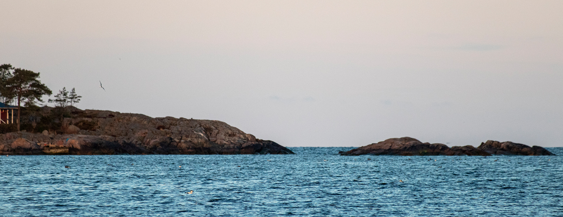 Apetit expands its Baltic Sea Commitment from fields to waterways