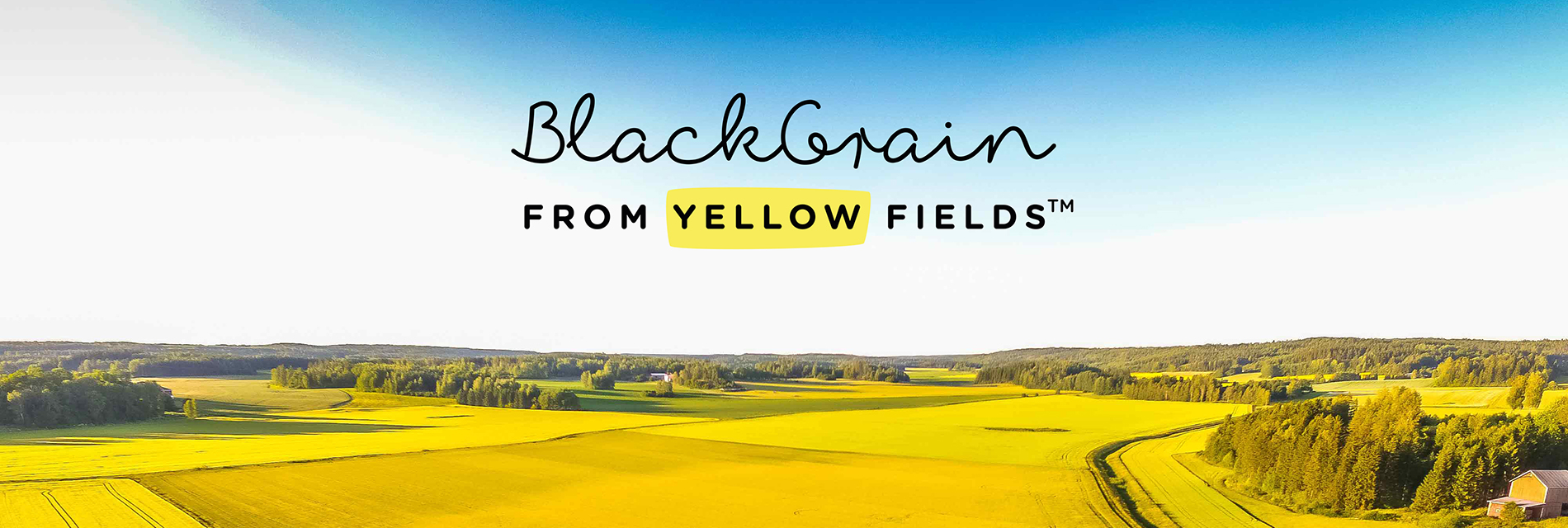 Small scale production of Apetit’s rapeseed-based plant protein begins – first product with BlackGrain is Mini-Veggieballs