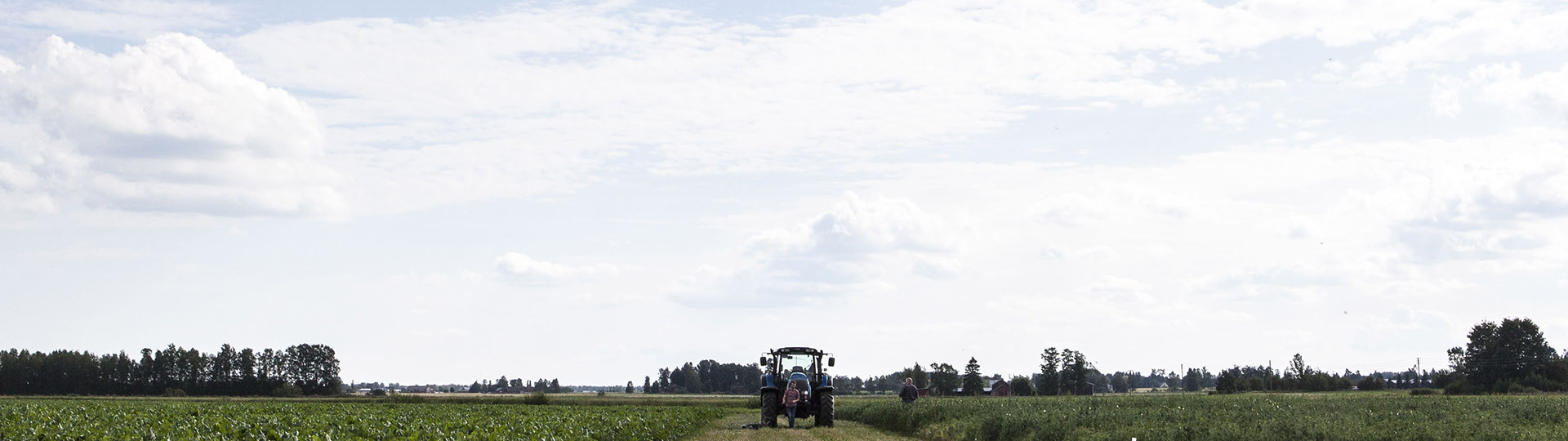 Räpi Experimental farm is part of Carbon Action project